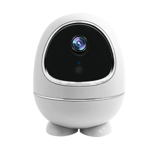 TIMMY TM-W5 Low Power Battery PT Dome TUYA Wifi Camera