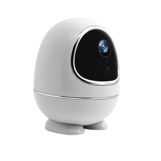 TIMMY TM-W5 Low Power Battery PT Dome TUYA Wifi Camera