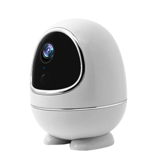 TIMMY TM-W5 Low Power Battery PT Dome TUYA Wifi Camera